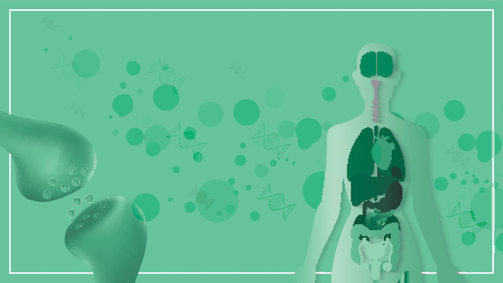 What is the Endocannabinoid System?