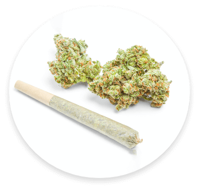 North Medical marijuana preroll