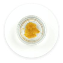 North Medical dispensary concentrates