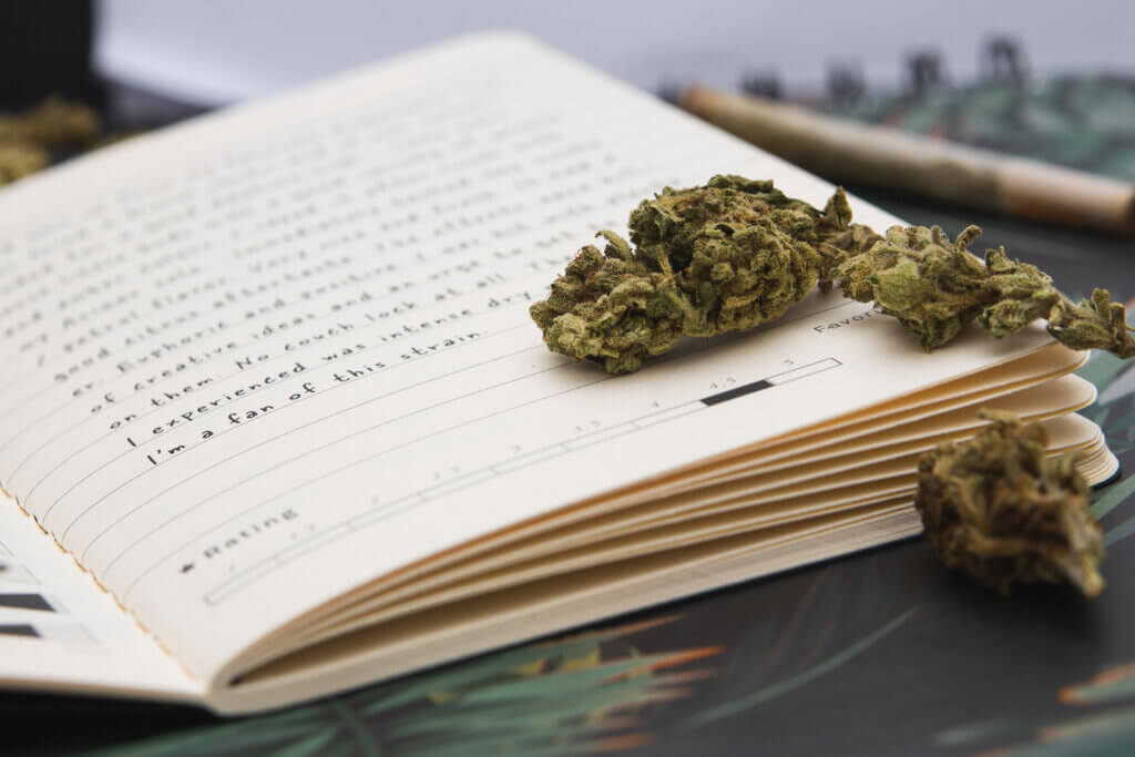 The Benefits of Keeping a Cannabis Journal