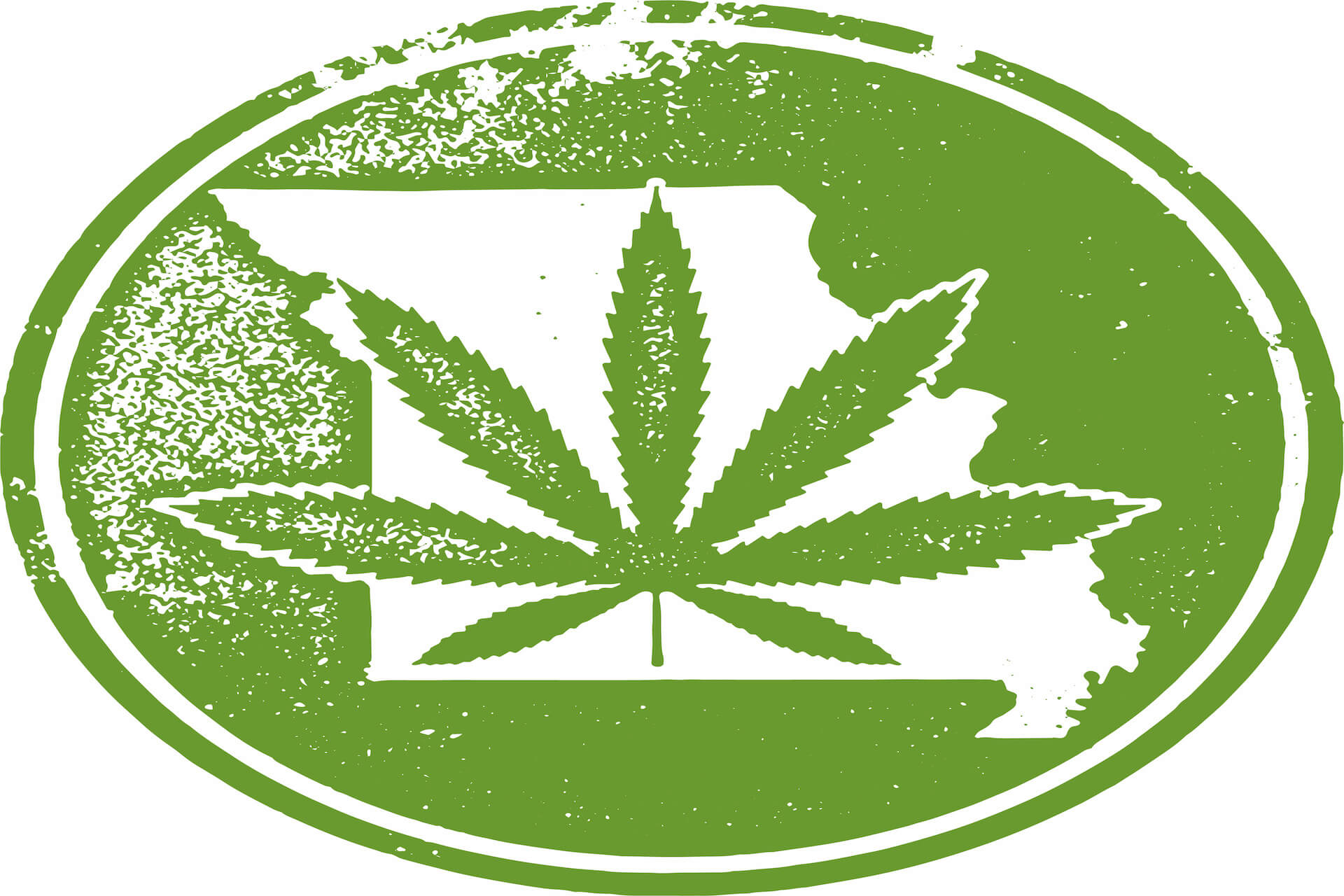Brand Spotlights: Cannabis Inc.